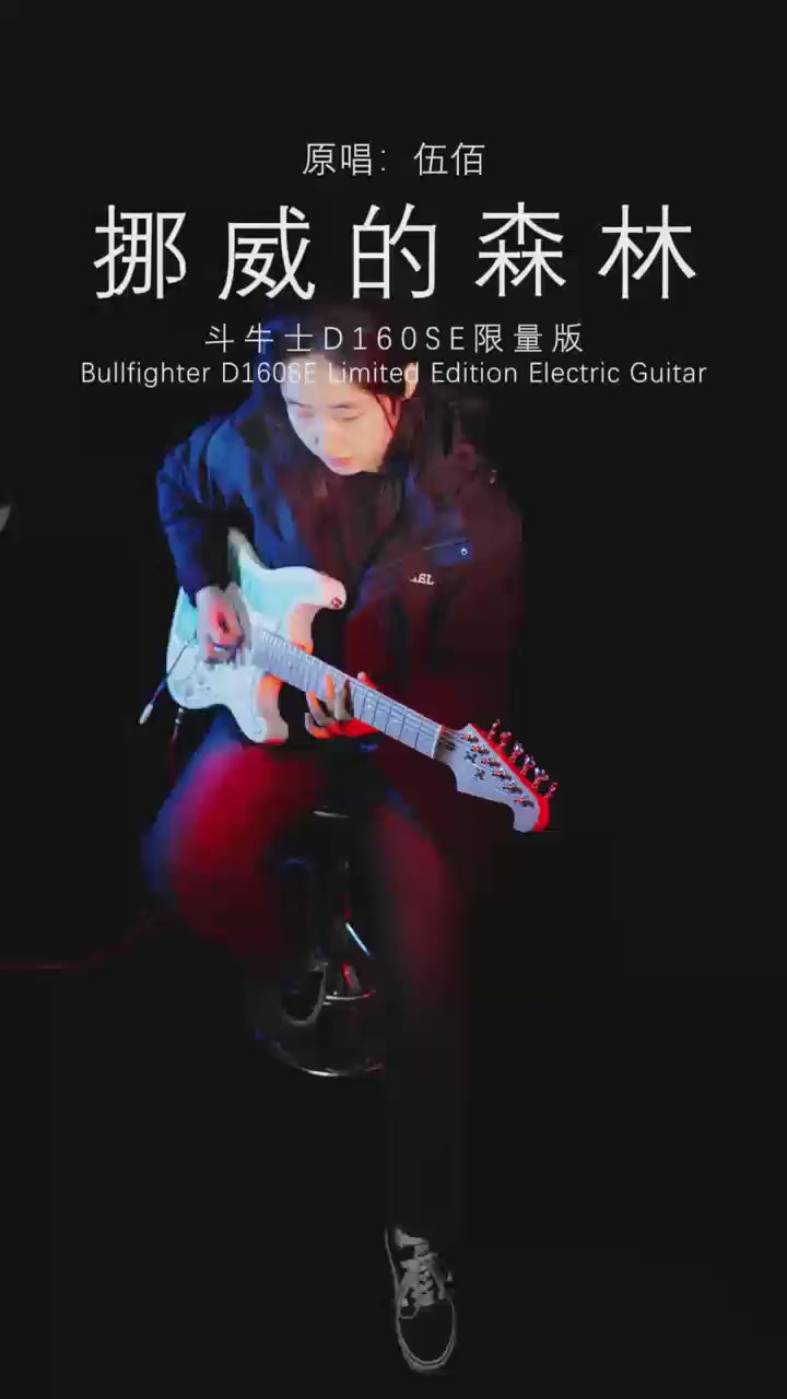 斗牛士 D-160SE 限量版